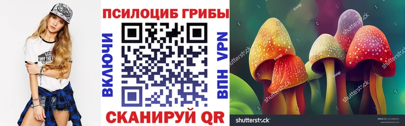 Галлюциногенные грибы прущие грибы  Томмот 